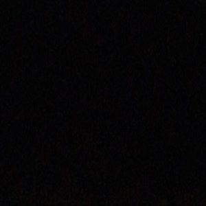 Meet your Posher, Daniella